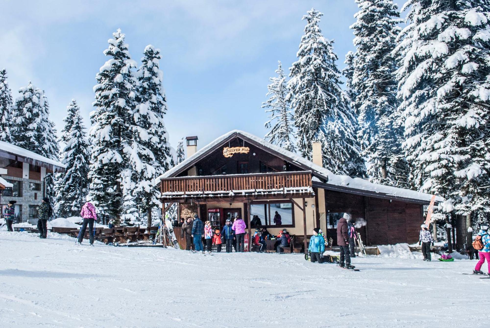 Alpine Ski Chalet Borovets With Sauna Екстер'єр фото