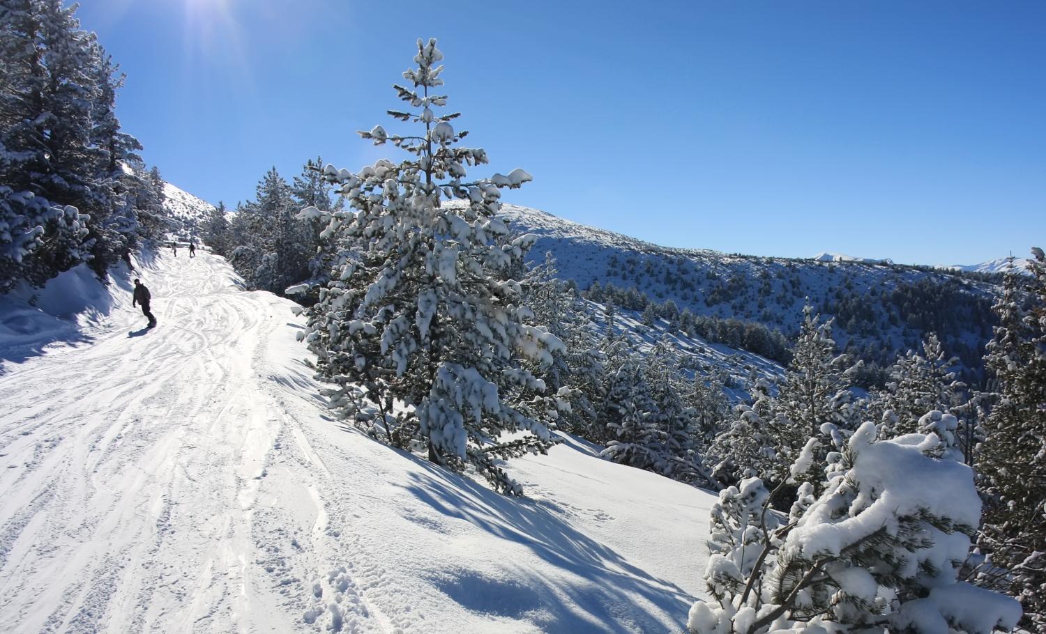 Вілла Alpine Ski Chalet Borovets With Sauna Екстер'єр фото