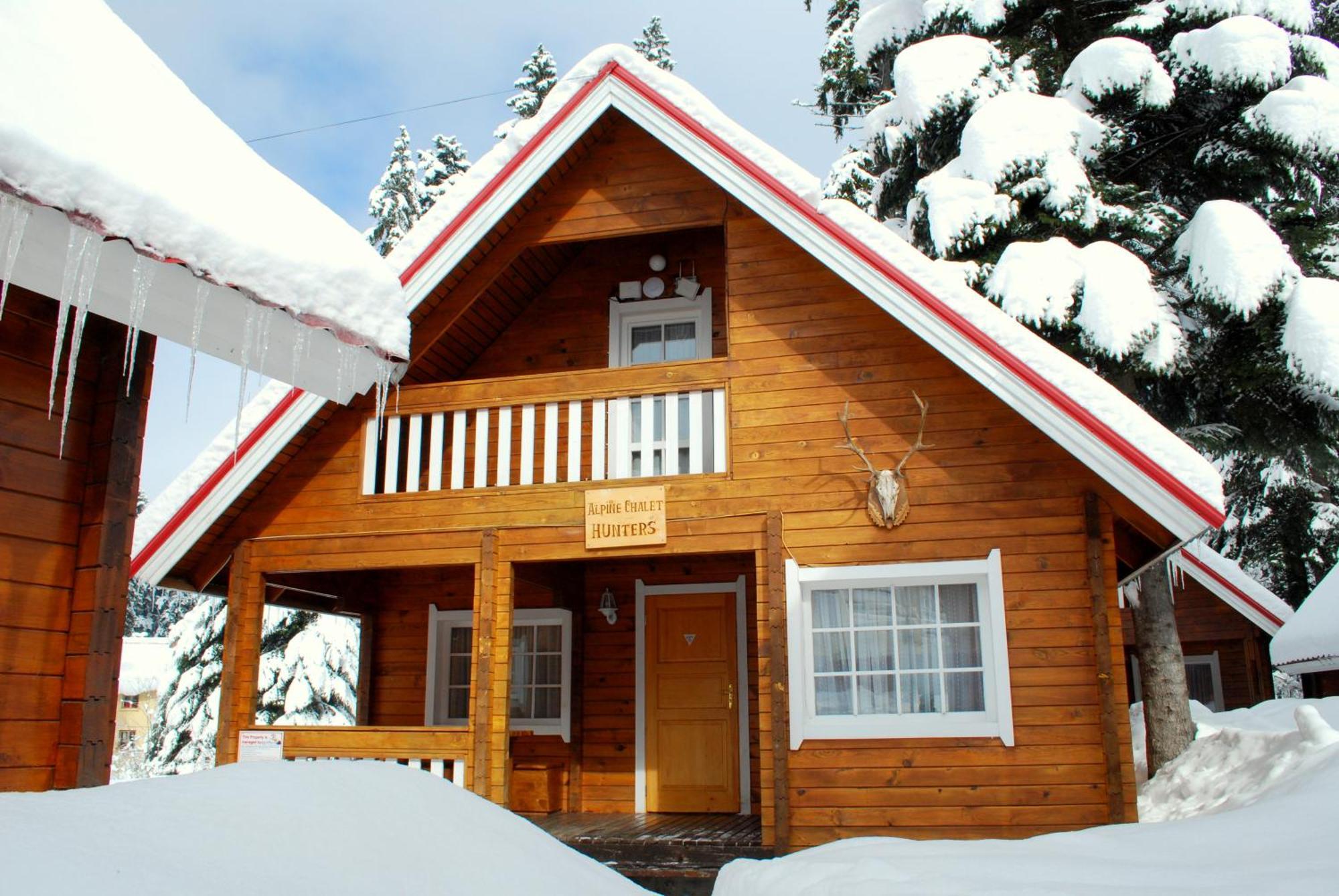 Alpine Ski Chalet Borovets With Sauna Екстер'єр фото