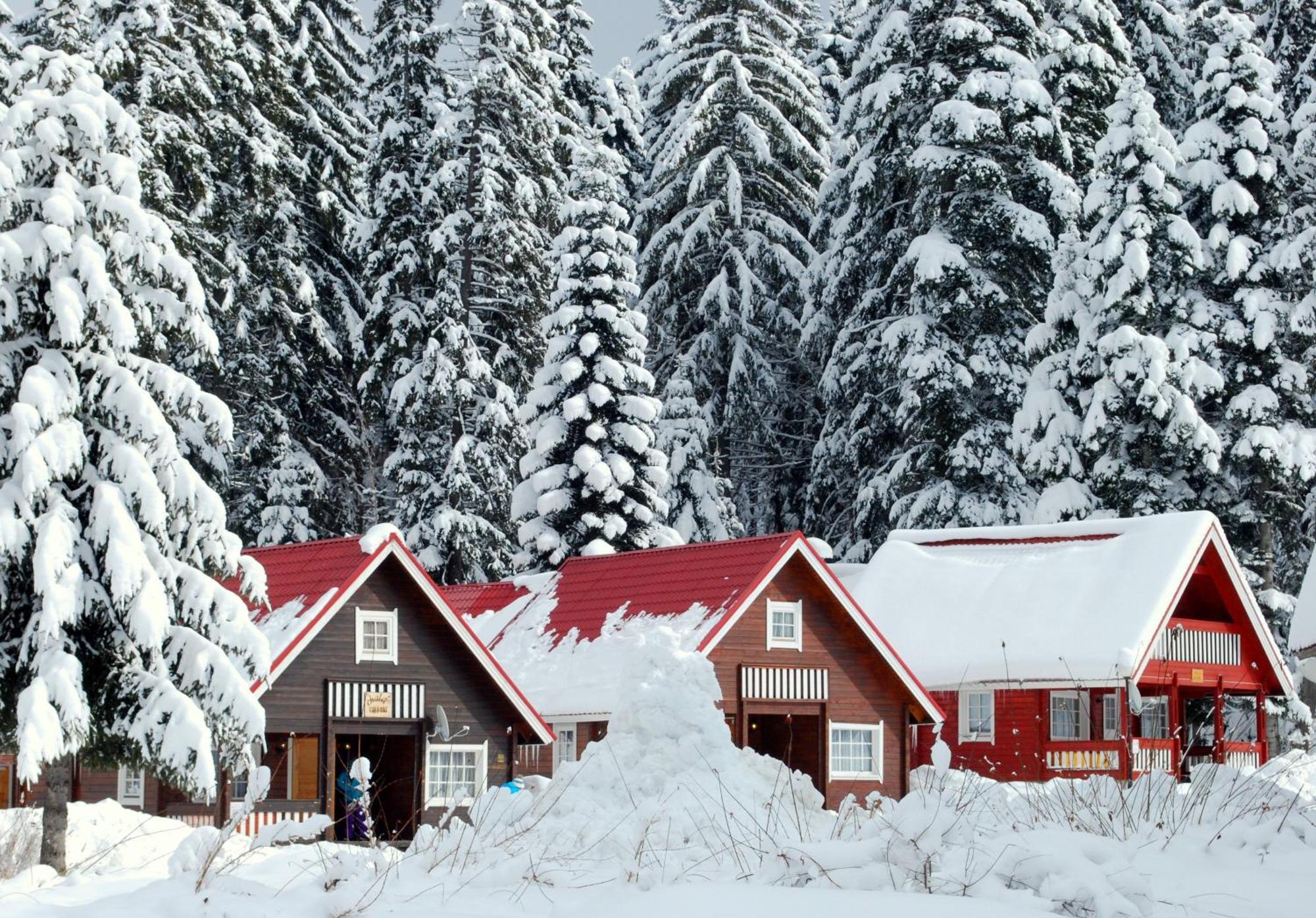 Вілла Alpine Ski Chalet Borovets With Sauna Екстер'єр фото