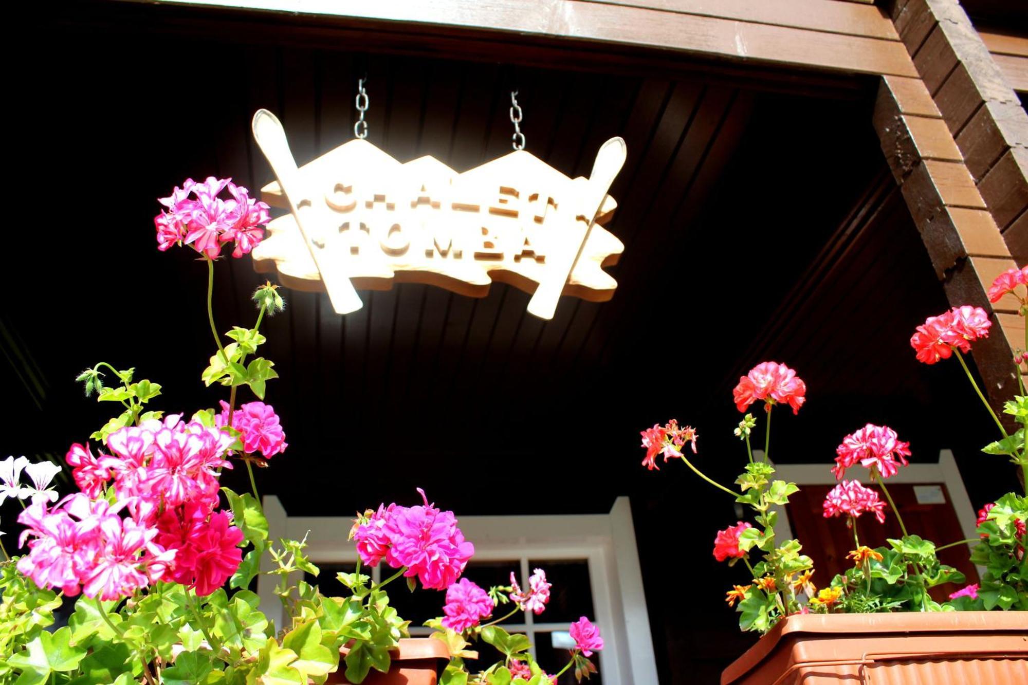 Alpine Ski Chalet Borovets With Sauna Екстер'єр фото