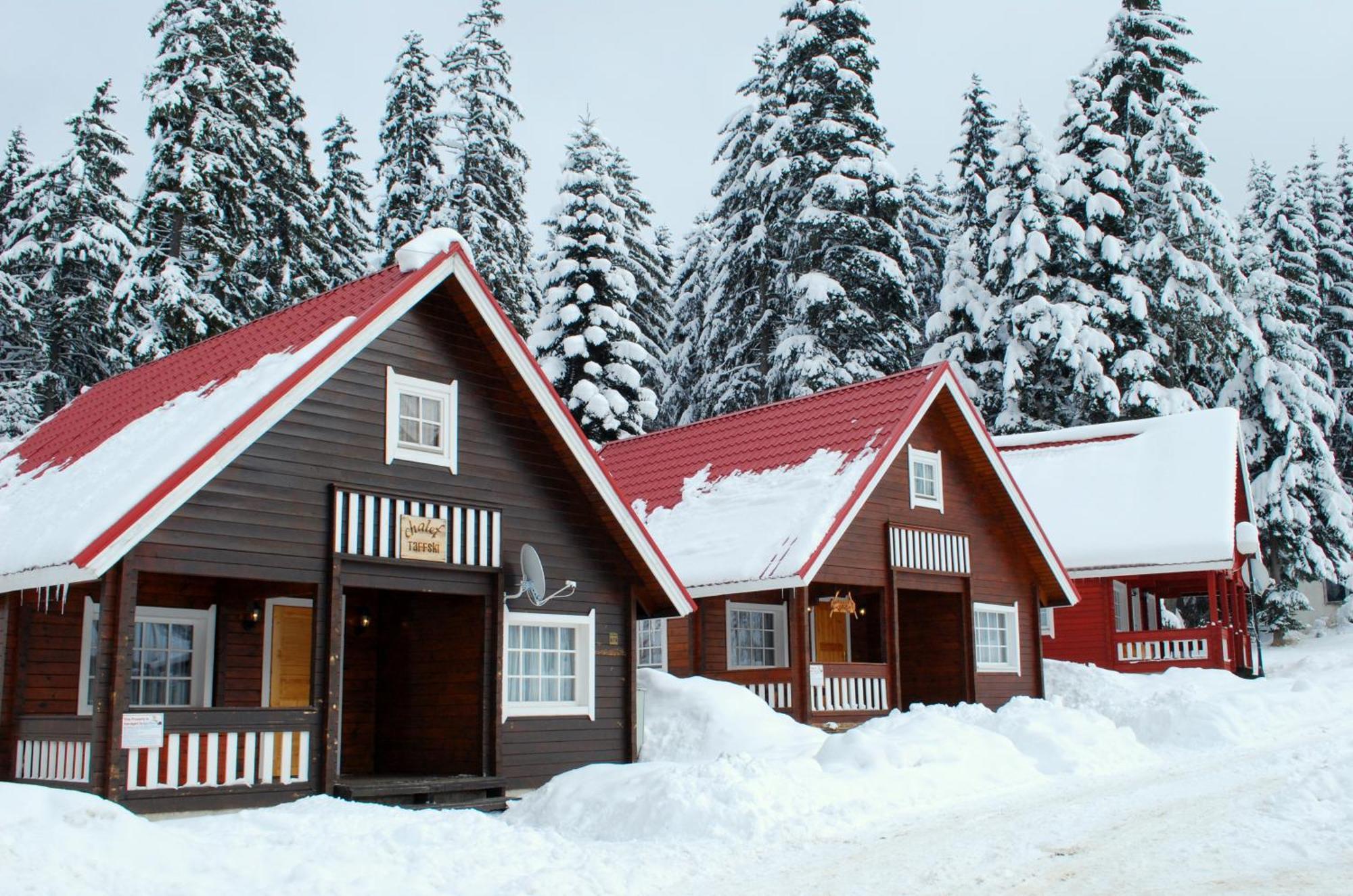 Alpine Ski Chalet Borovets With Sauna Екстер'єр фото