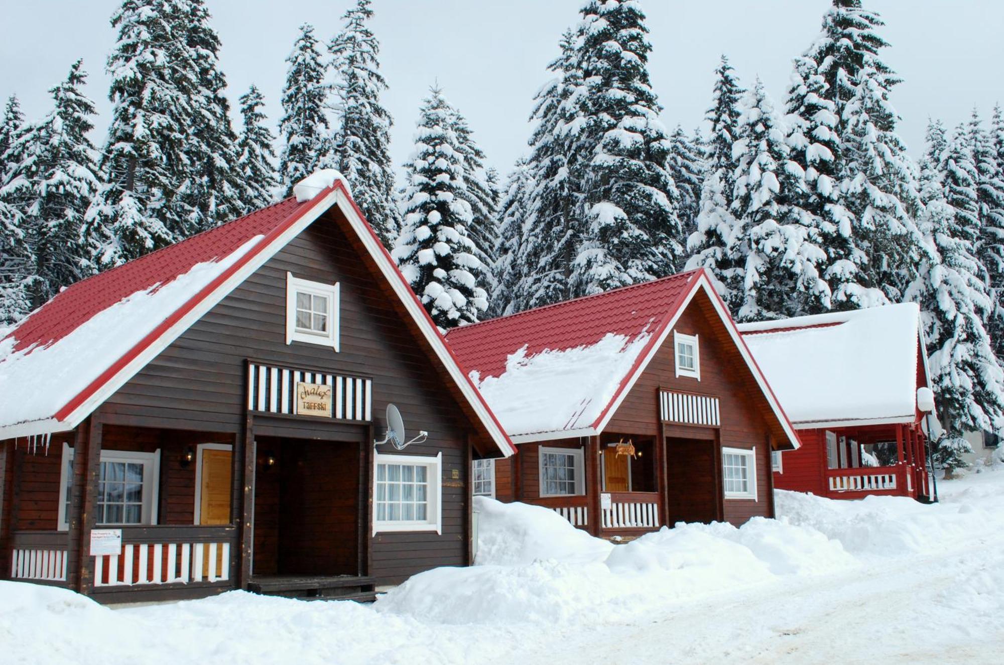 Вілла Alpine Ski Chalet Borovets With Sauna Екстер'єр фото